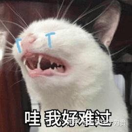  昨天的雅思考题,烤鸭现场撕试卷