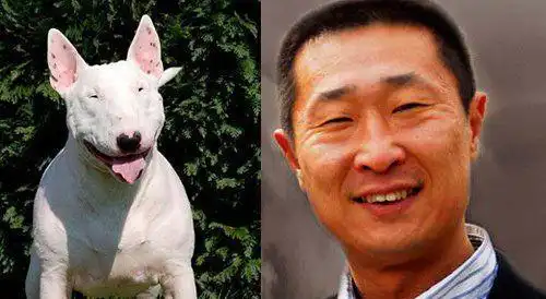 林永健牛头梗表情包疯狂