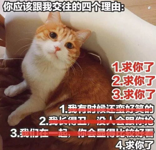  广财表白墙338期你是耀眼的星河