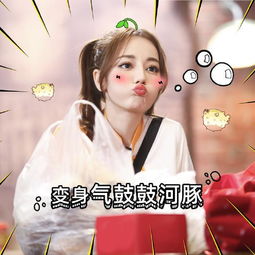 迪丽热巴新鲜表情包出炉双马尾热巴气成河豚 迪丽热巴新鲜表情包出炉双马尾热巴气成河豚