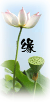  qq表情文字qq表情缘