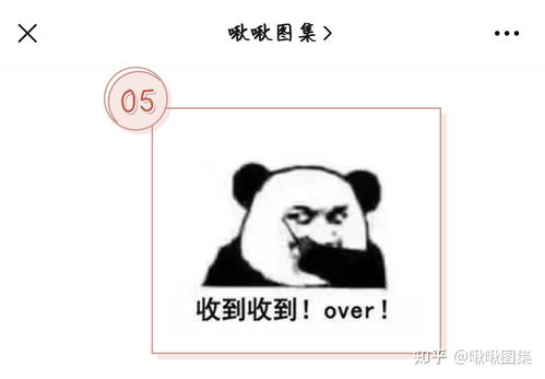  35关于回复收到的表情包