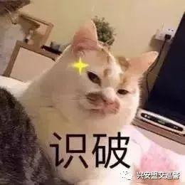  路遇交警夜查,一醉猫花式吹气企图蒙混过关,结果......