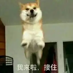 比喀纳斯还美三分的天山北麓秘境,现在有一个玩3天不花一分钱的机会,就问你要不要 比喀纳斯还美三分的天山北麓秘境,现在有一个玩3天不花一分钱的机会,就问你要不要