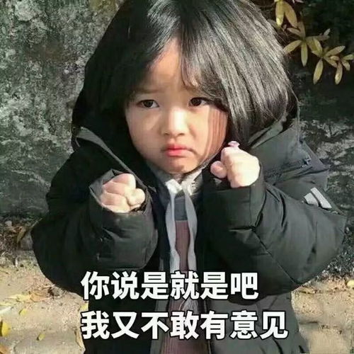  这总裁除了比我高比我帅比我有钱,还有哪里比我强