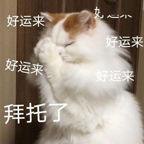  回家的诱惑归家后的真实状态,看看你有没有中招尼