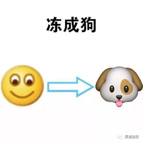  这么冷的天,竟然也能生成台风泉港接下来可能会更冷了