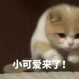 我没有不开心表情包不开