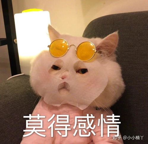  居然是智能马桶盖让我继续精致的