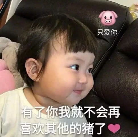  表情敲可爱表情包有了我,你就不能再喜欢其他猪猪了哦表情