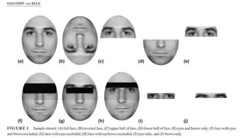 100万亿奖金的搞笑诺贝尔奖,今年得主五个中国人 100万亿奖金的搞笑诺贝尔奖,今年得主五个中国人