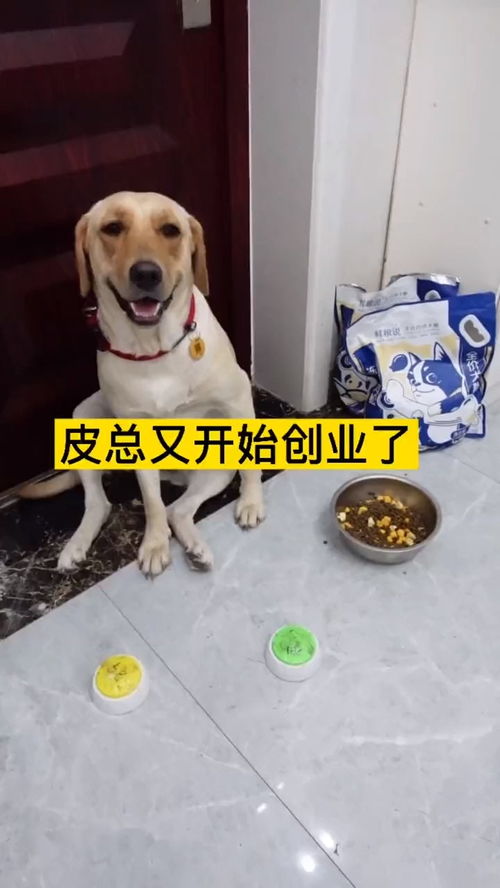  皮总,你这瓜,不是,你这狗粮保熟吗