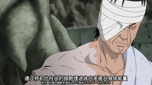 鸣人表情包纲手