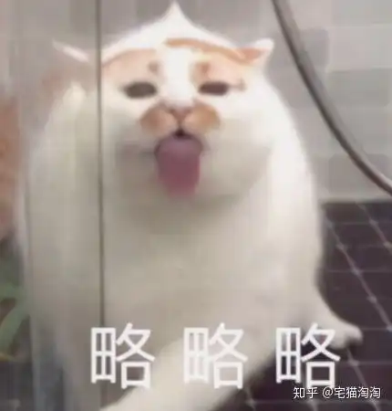 双十一购物攻略洗衣机篇从800到一万那些好价洗衣机推荐 双十一购物攻略洗衣机篇从800到一万那些好价洗衣机推荐