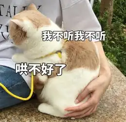 傲娇猫咪表情包生气了,哄不好的那种 傲娇猫咪表情包生气了,哄不好的那种