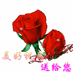  7色裤衩都安排上了胖6的生日礼物太有排面了