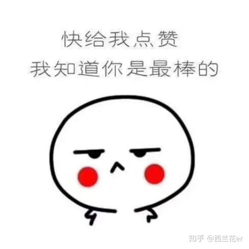  rua可爱的动物头像壁纸