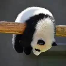  开心一刻外卖把我的账号封了,因为我一天吃五顿