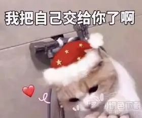  敲可爱的喵咪表情大全敲可爱的喵咪表情包高清版jz5u绿色下载站