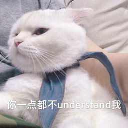  如何评价音乐银行2016年中特辑