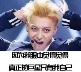 扒了你表情包黄子韬