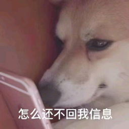  求几套哄女朋友可以用的表情