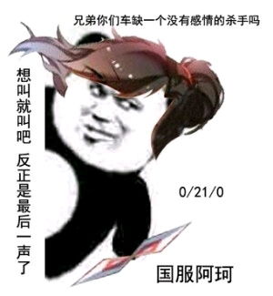  国服王者表情包