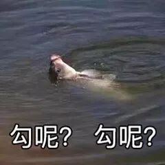  沙雕搞怪表情包