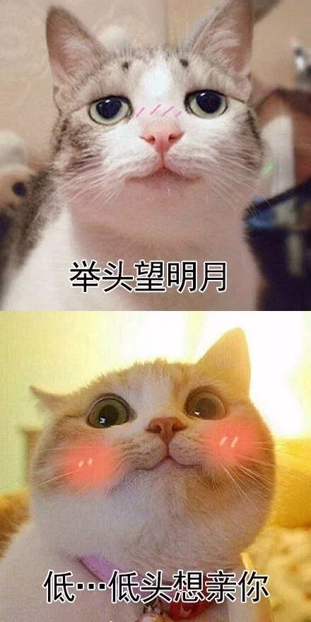 甜甜蜜的撩汉撩妹金句,赶紧get住