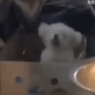  近期热图
