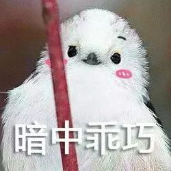  三天两头想吃它本月最爱下饭菜