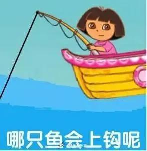  钓鱼表情包