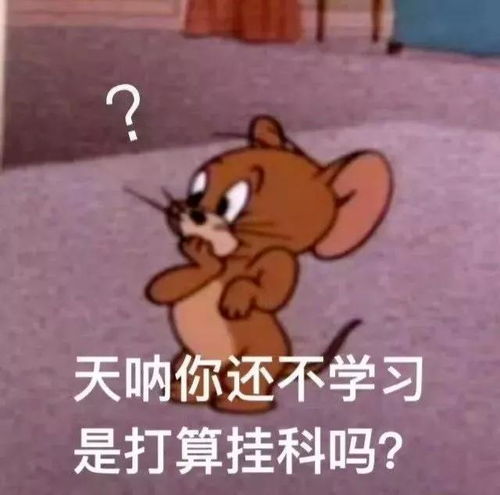  那些你上大学才知道的事小心踩雷