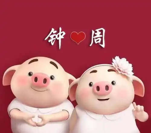 猪头像情侣表情包猪哥
