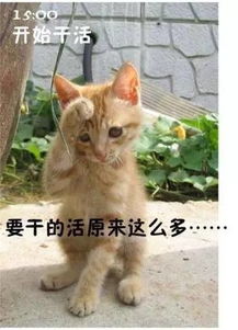  别不相信,你每天都是这样过的