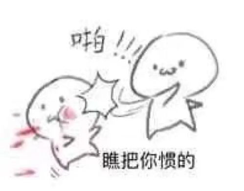  新初一娃生存状态概览