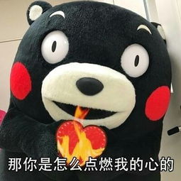  熊本熊撩妹套路表情包