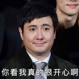 沈腾你来打我呀表情包