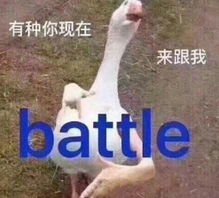  汇通金港又来搞事情,你的假期我们承包了