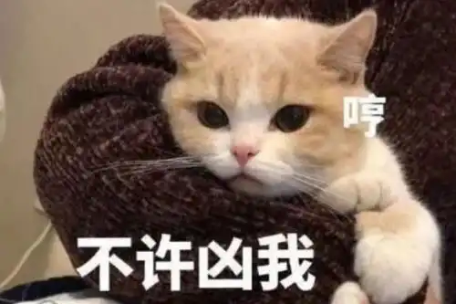  有哪些哄男朋友的可爱的表情包