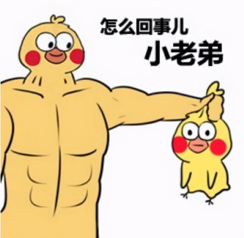 小绯闻表情包益阳