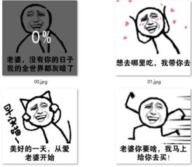  论妻奴的自我修养表情包下载搞笑妻奴表情包高清版软件下载