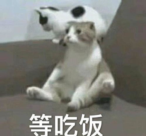  刚刚就看到一位女司机上车,然后就这样了车子也走了