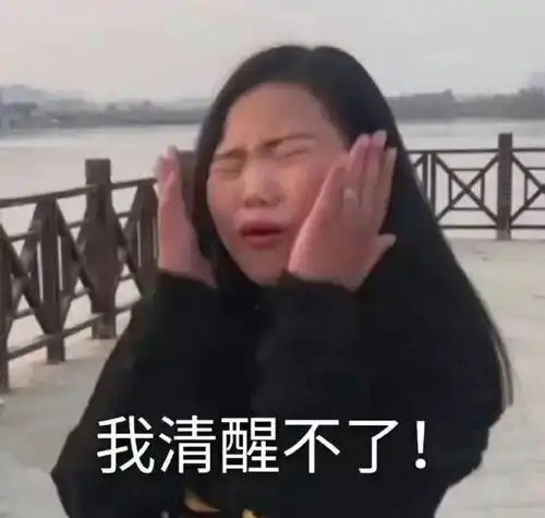 清醒图片表情包文案