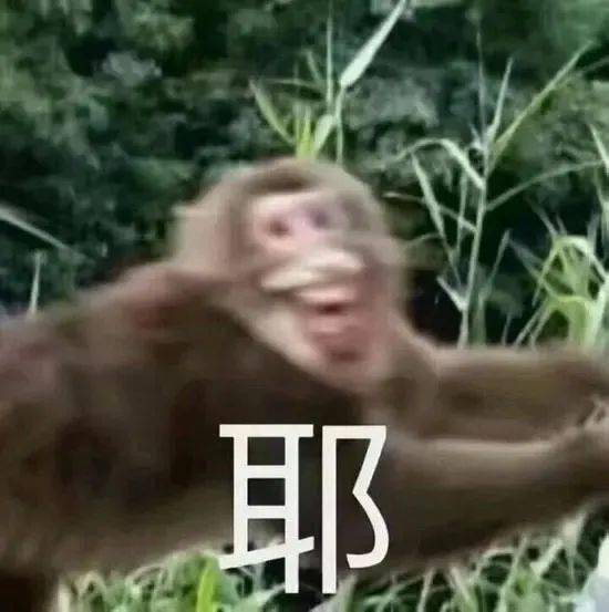  天津相声广播不倒翁小姐姐却倒在那个男人的怀里