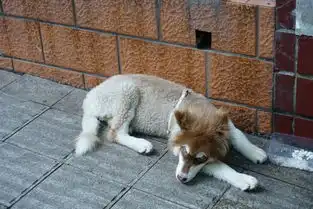 我的麻辣江湖记 我的麻辣江湖记