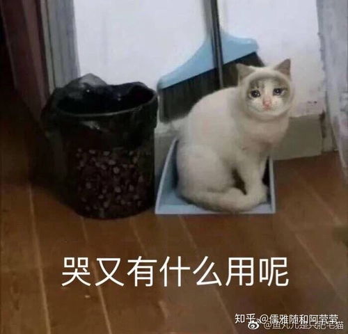  管不住自己的嘴,什么话都和别人说怎么办