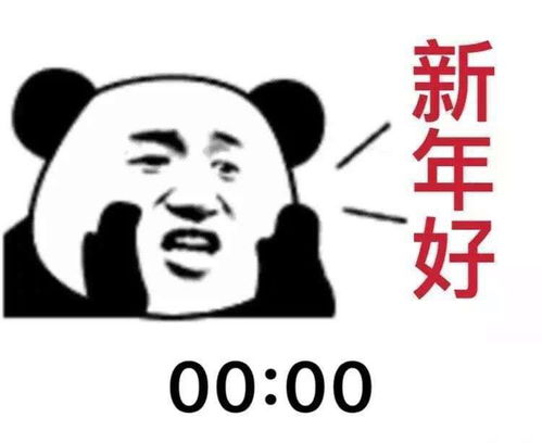 跨年的你们是这样的吗沙雕表情包