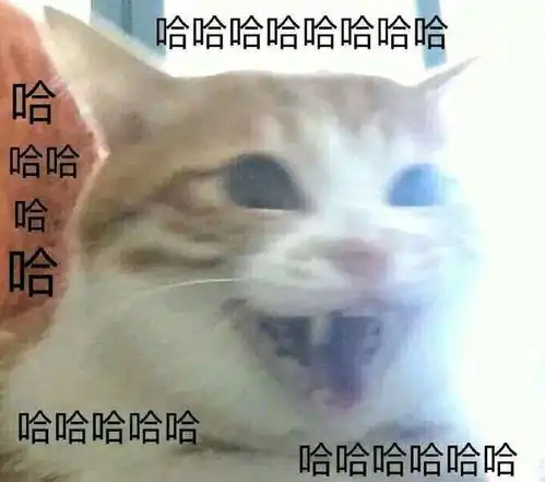 人生疾苦表情包哈哈哈