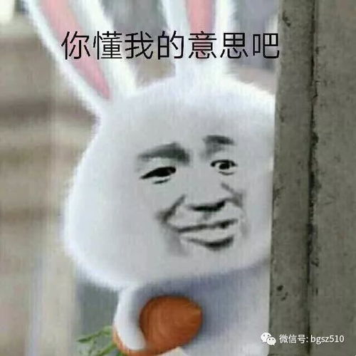 你懂我表情包大全聊天记